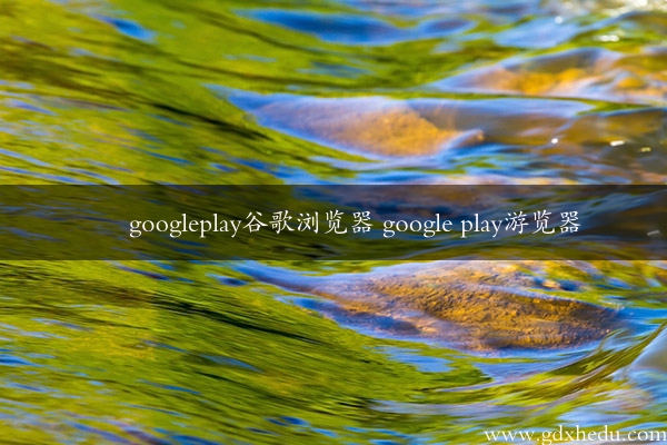 googleplay谷歌浏览器 google play游览器