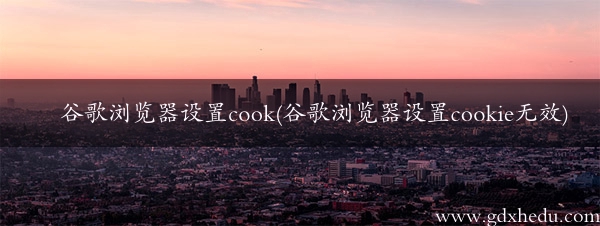 谷歌浏览器设置cook(谷歌浏览器设置cookie无效)