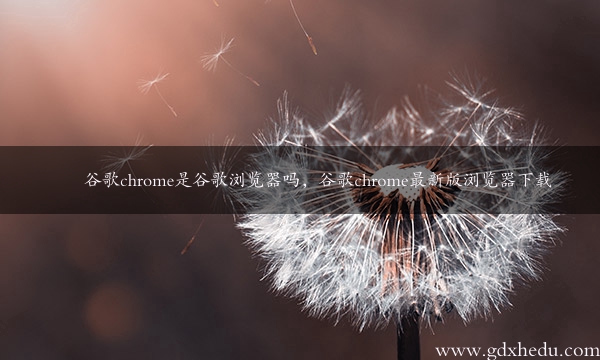 谷歌chrome是谷歌浏览器吗，谷歌chrome最新版浏览器下载