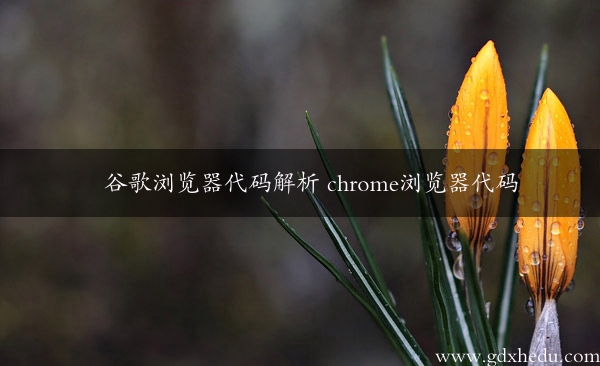 谷歌浏览器代码解析 chrome浏览器代码