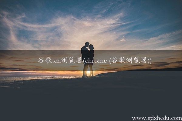 谷歌.cn浏览器(chrome (谷歌浏览器))