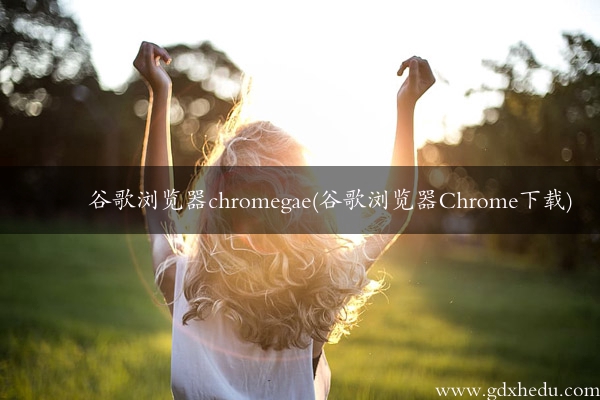 谷歌浏览器chromegae(谷歌浏览器Chrome下载)