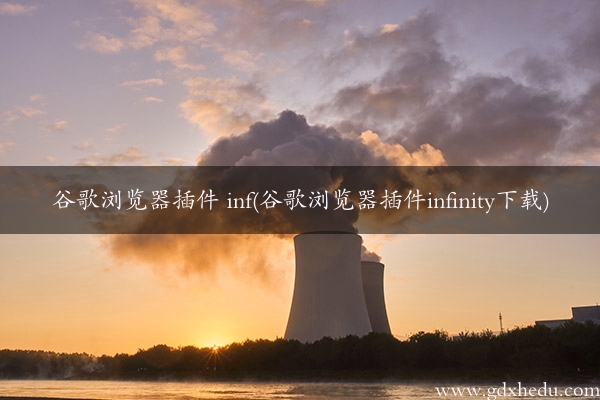 谷歌浏览器插件 inf(谷歌浏览器插件infinity下载)