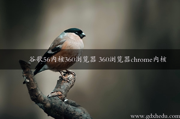 谷歌56内核360浏览器 360浏览器chrome内核