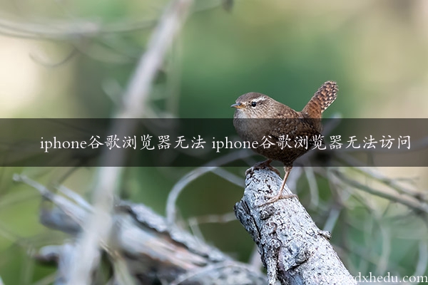 iphone谷歌浏览器无法 iphone谷歌浏览器无法访问