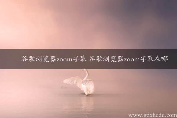 谷歌浏览器zoom字幕 谷歌浏览器zoom字幕在哪