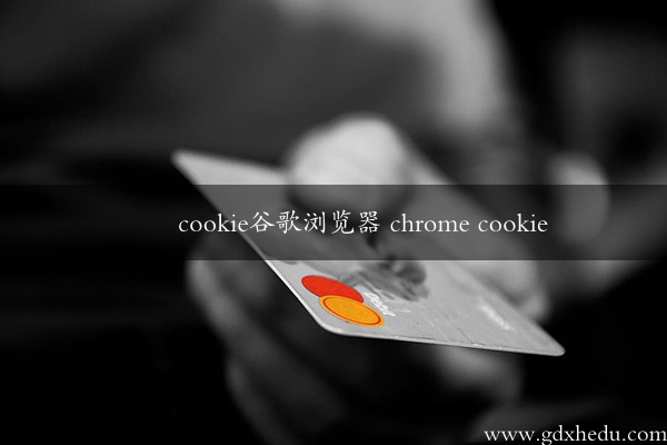 cookie谷歌浏览器 chrome cookie