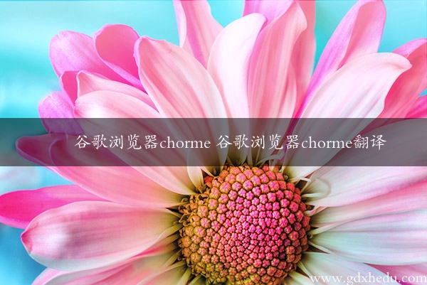 谷歌浏览器chorme 谷歌浏览器chorme翻译