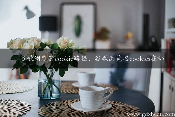 谷歌浏览器cookie路径，谷歌浏览器cookies在哪