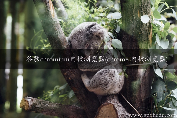 谷歌chromium内核浏览器(chrome 内核浏览器)