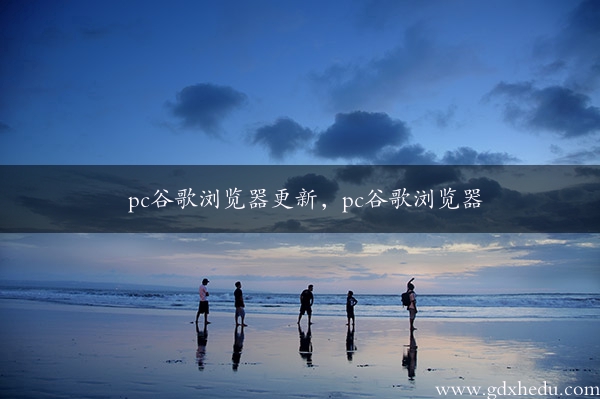 pc谷歌浏览器更新，pc谷歌浏览器