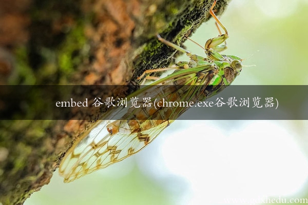 embed 谷歌浏览器(chrome.exe谷歌浏览器)