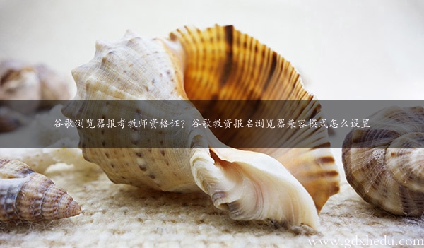 谷歌浏览器报考教师资格证？谷歌教资报名浏览器兼容模式怎么设置