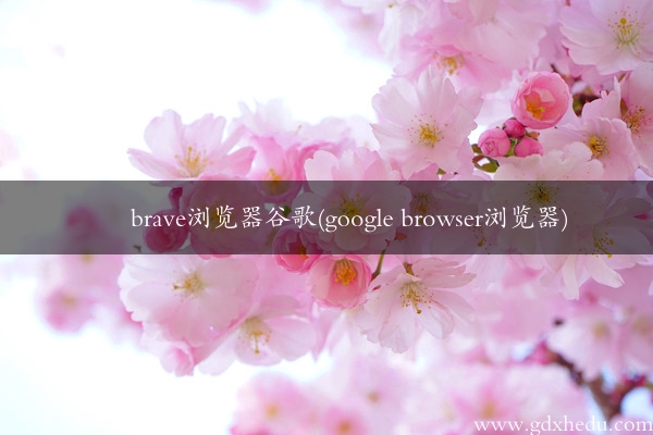 brave浏览器谷歌(google browser浏览器)