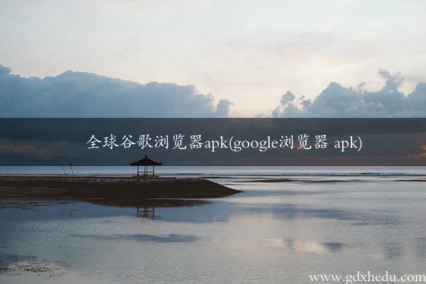 全球谷歌浏览器apk(google浏览器 apk)