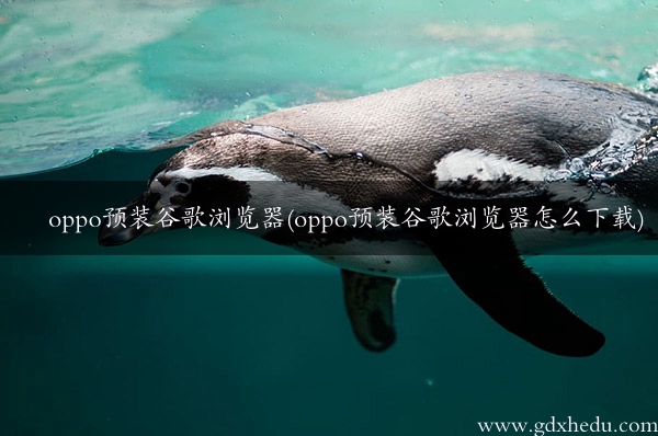 oppo预装谷歌浏览器(oppo预装谷歌浏览器怎么下载)