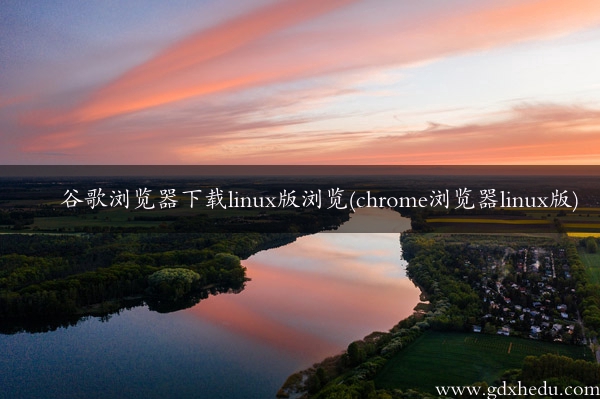 谷歌浏览器下载linux版浏览(chrome浏览器linux版)