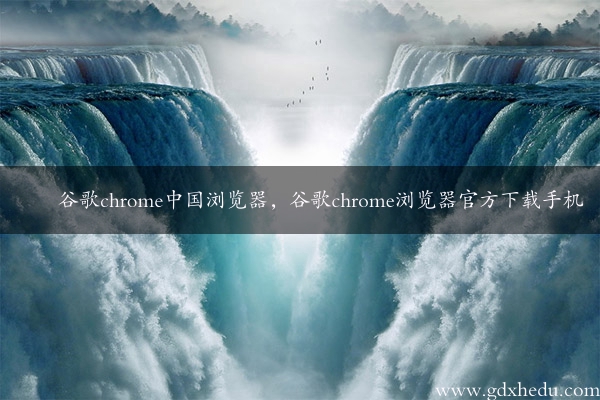 谷歌chrome中国浏览器，谷歌chrome浏览器官方下载手机
