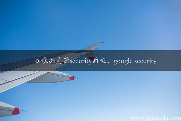 谷歌浏览器security面板，google security