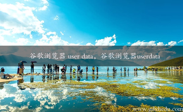 谷歌浏览器 user data，谷歌浏览器userdata