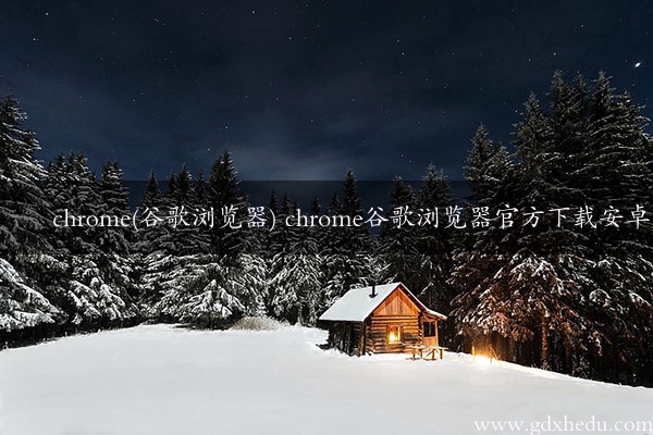 chrome(谷歌浏览器) chrome谷歌浏览器官方下载安卓