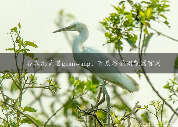 谷歌浏览器guanwang，百度谷歌浏览器官网