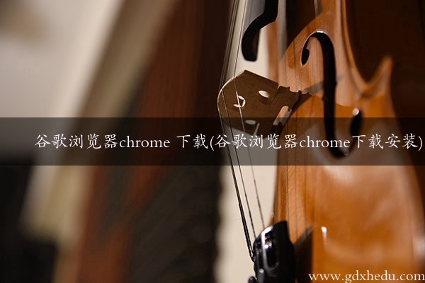 谷歌浏览器chrome 下载(谷歌浏览器chrome下载安装)