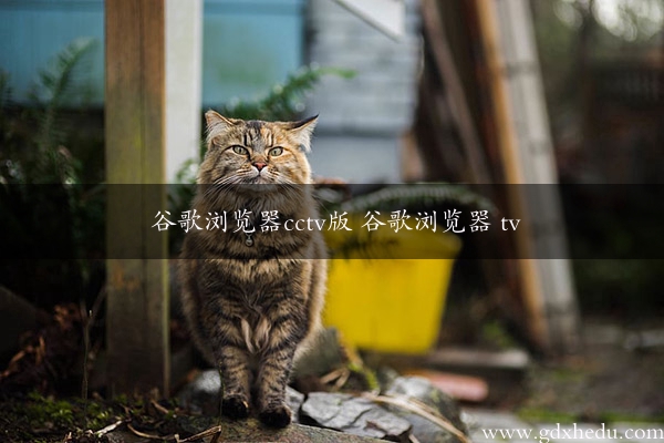 谷歌浏览器cctv版 谷歌浏览器 tv