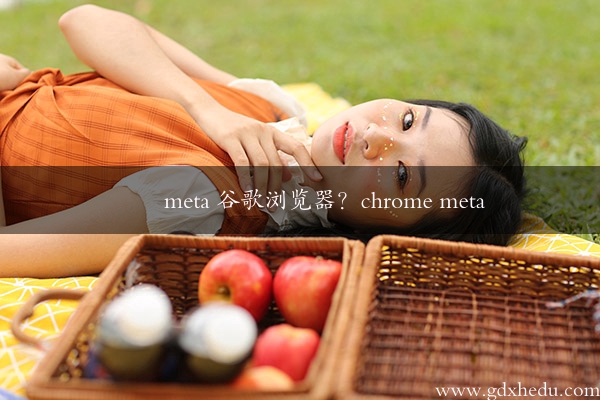 meta 谷歌浏览器？chrome meta