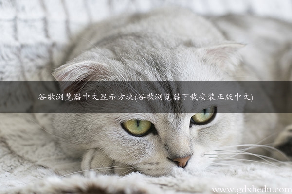 谷歌浏览器中文显示方块(谷歌浏览器下载安装正版中文)