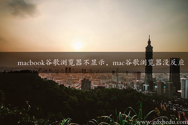 macbook谷歌浏览器不显示，mac谷歌浏览器没反应