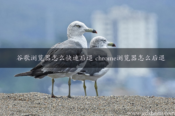 谷歌浏览器怎么快速后退 chrome浏览器怎么后退