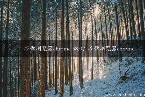 谷歌浏览器chrome 38.0？谷歌浏览器chrome