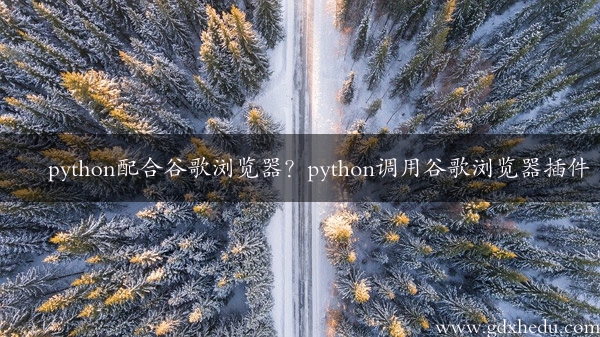 python配合谷歌浏览器？python调用谷歌浏览器插件