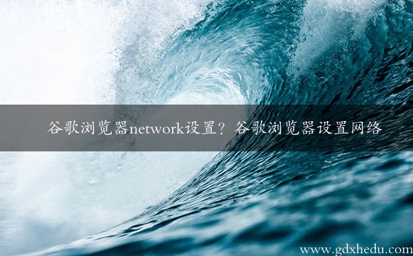 谷歌浏览器network设置？谷歌浏览器设置网络