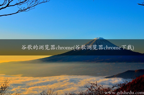 谷歌的浏览器chrome(谷歌浏览器chrome下载)