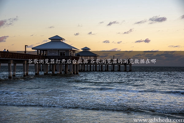 谷歌浏览器打开后台数据 谷歌浏览器的浏览数据在哪