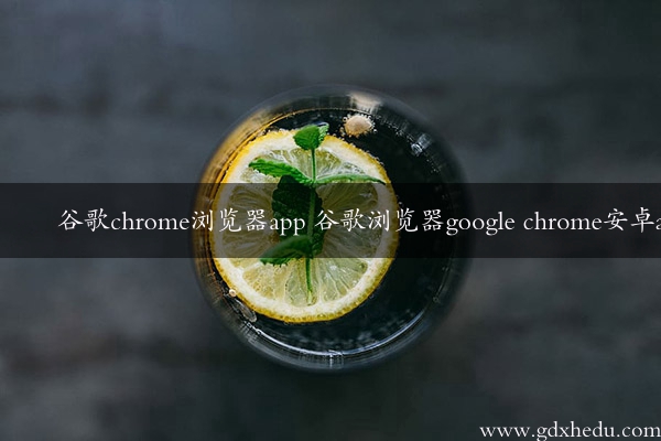 谷歌chrome浏览器app 谷歌浏览器google chrome安卓app