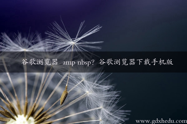 谷歌浏览器  amp nbsp？谷歌浏览器下载手机版