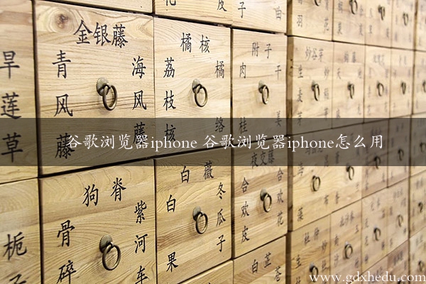 谷歌浏览器iphone 谷歌浏览器iphone怎么用