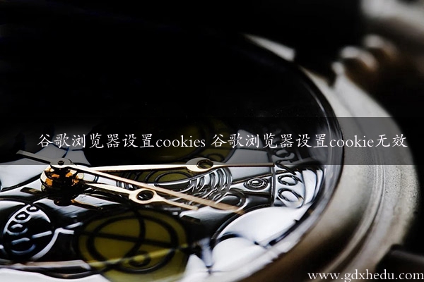 谷歌浏览器设置cookies 谷歌浏览器设置cookie无效