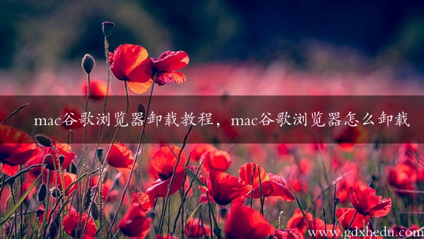 mac谷歌浏览器卸载教程，mac谷歌浏览器怎么卸载