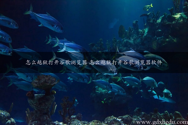 怎么越狱打开谷歌浏览器 怎么越狱打开谷歌浏览器软件