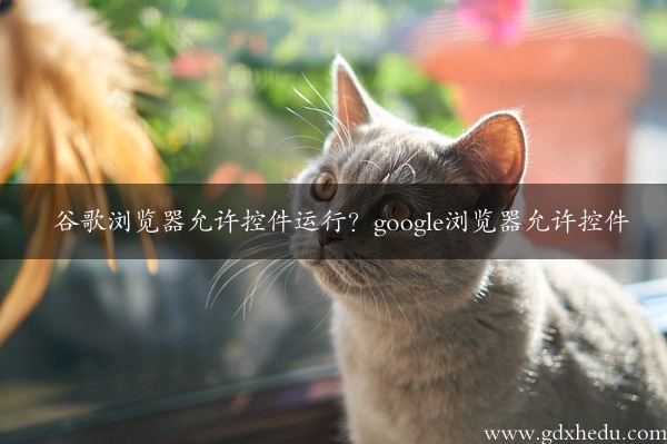 谷歌浏览器允许控件运行？google浏览器允许控件