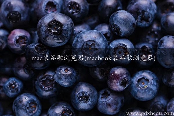 mac装谷歌浏览器(macbook装谷歌浏览器)