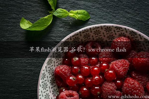 苹果flash浏览器 谷歌？ios chrome flash