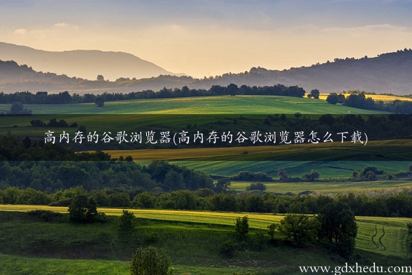 高内存的谷歌浏览器(高内存的谷歌浏览器怎么下载)