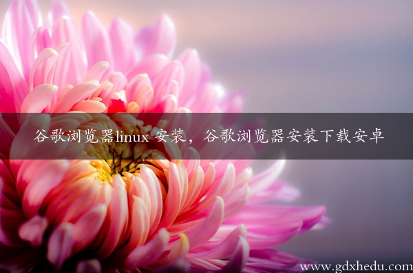 谷歌浏览器linux 安装，谷歌浏览器安装下载安卓