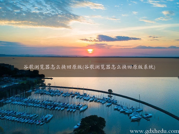 谷歌浏览器怎么换回原版(谷歌浏览器怎么换回原版系统)