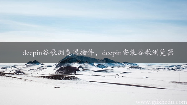 deepin谷歌浏览器插件，deepin安装谷歌浏览器